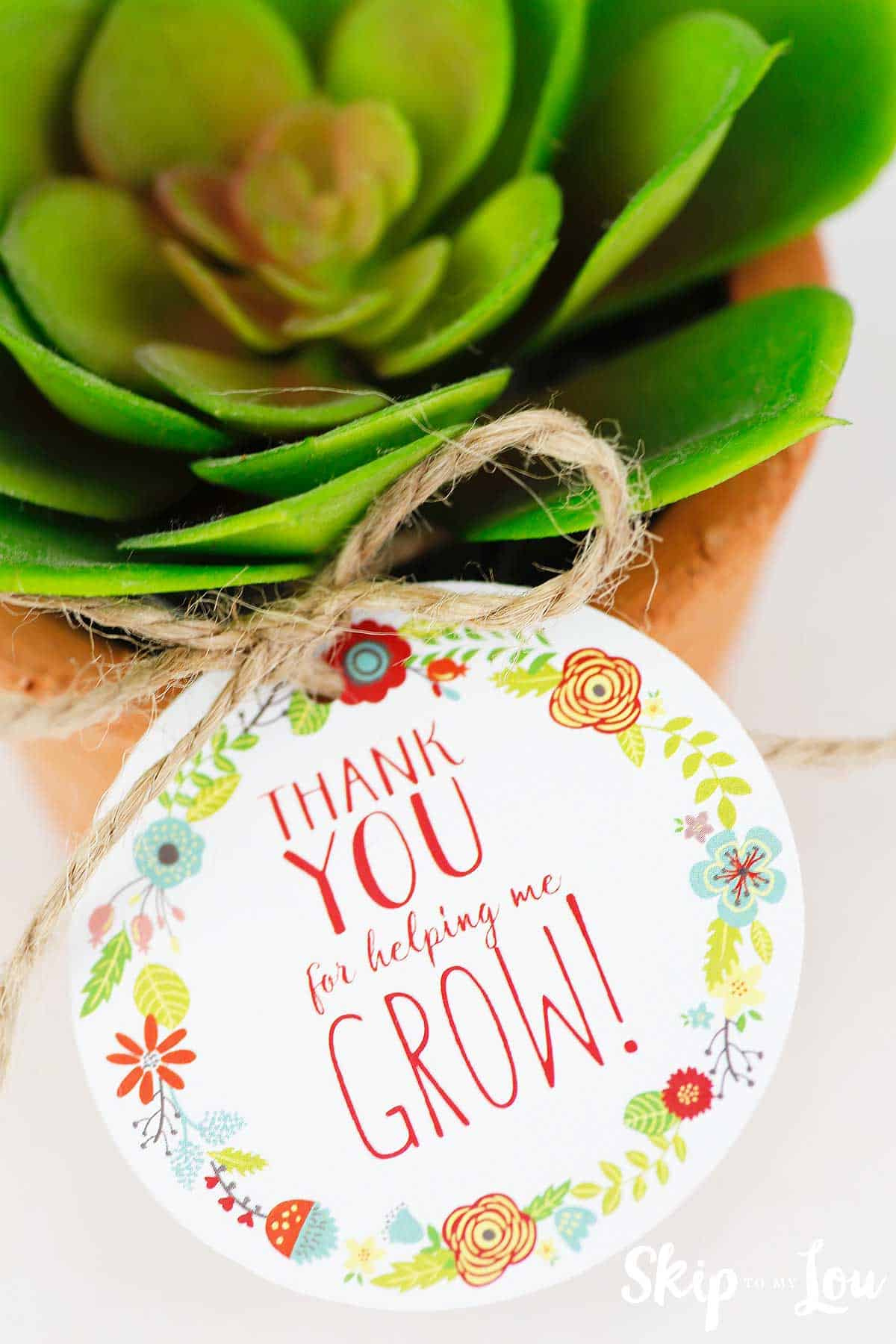 Free Printable Thank You For Helping Me Grow Gift Tags | Skip To with Free Printable Thank You For Helping Me Grow