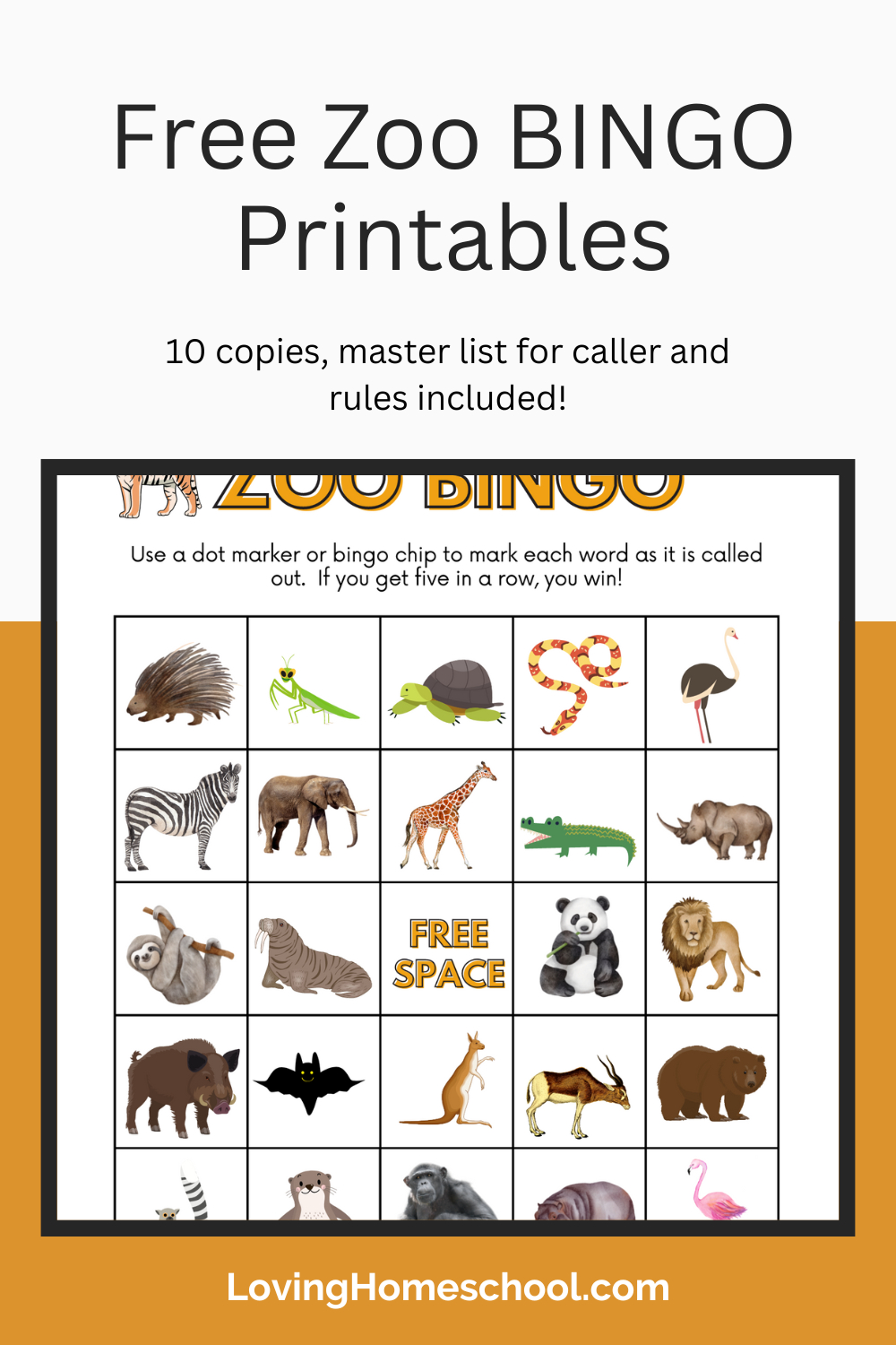 Free Zoo Bingo Printables - Lovinghomeschool intended for 25 Printable Free Printable Animal Bingo Cards