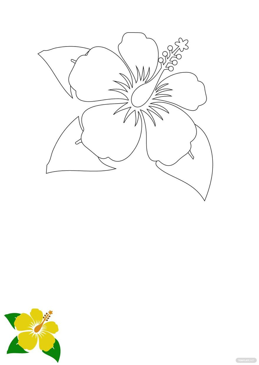 Hibiscus Flower Coloring Page In Jpg, Pdf, Eps - Download with Free Printable Hibiscus Flower Template