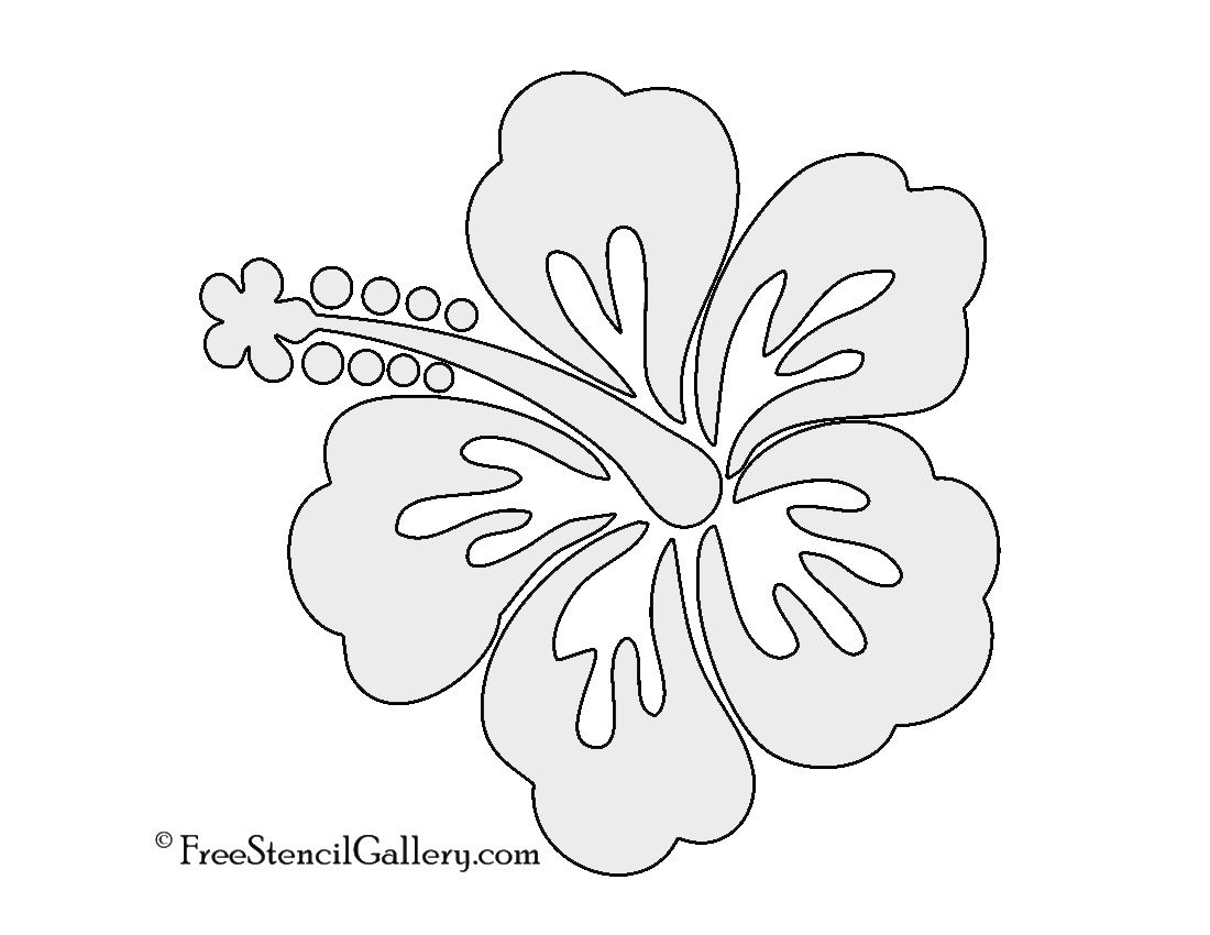 Hibiscus Flower Stencil - Worksheets Library within Free Printable Hibiscus Flower Template