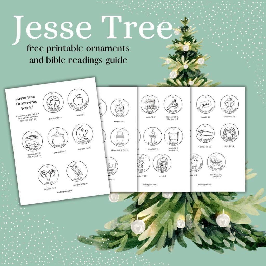 Jesse Tree Advent Tradition Free Printable Colouring - Kindling Wild within Free Printable Jesse Tree Printables