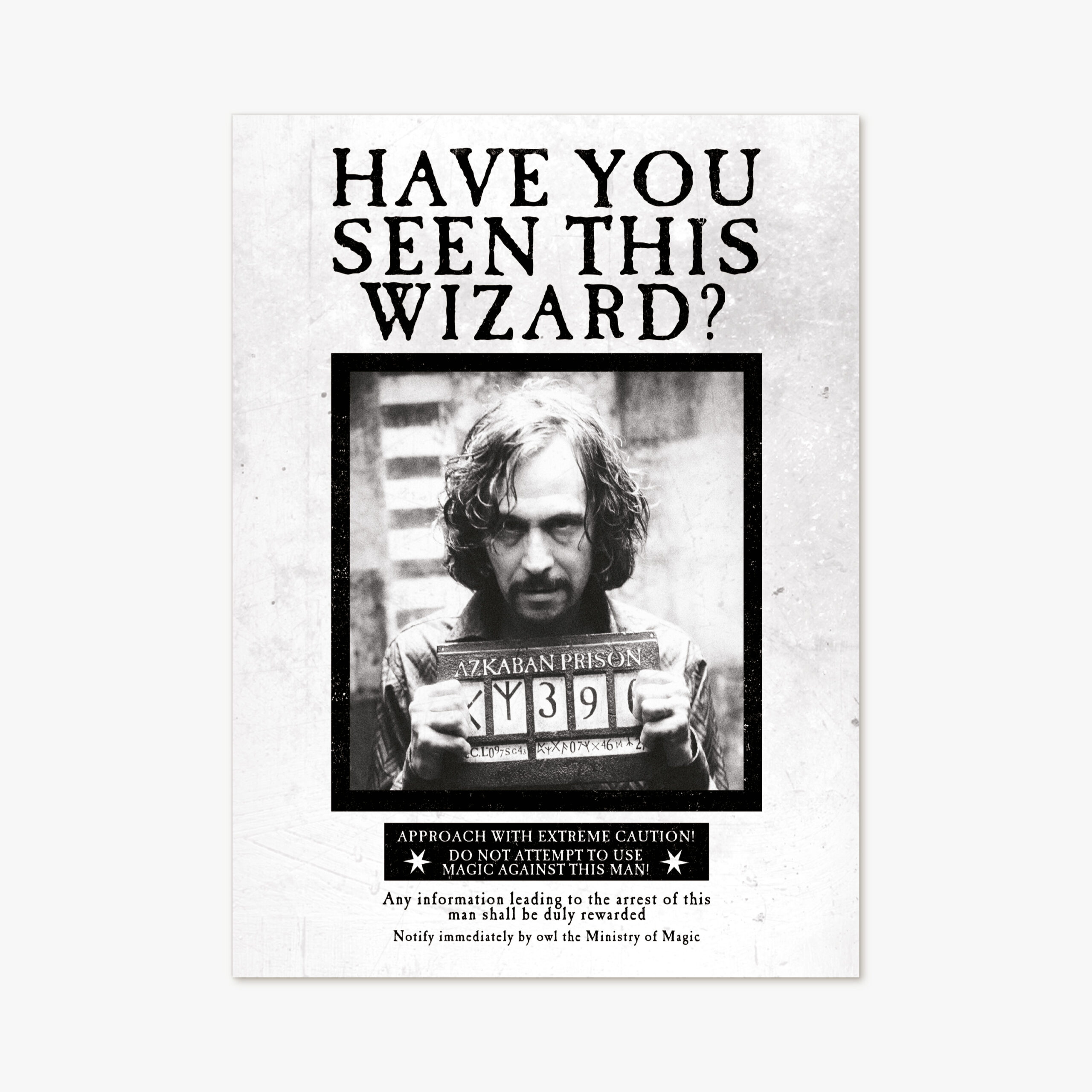 Ministry Of Magic - ‘Have You Seen This Wizard?’ for Harry Potter Have You Seen This Wizard Printable