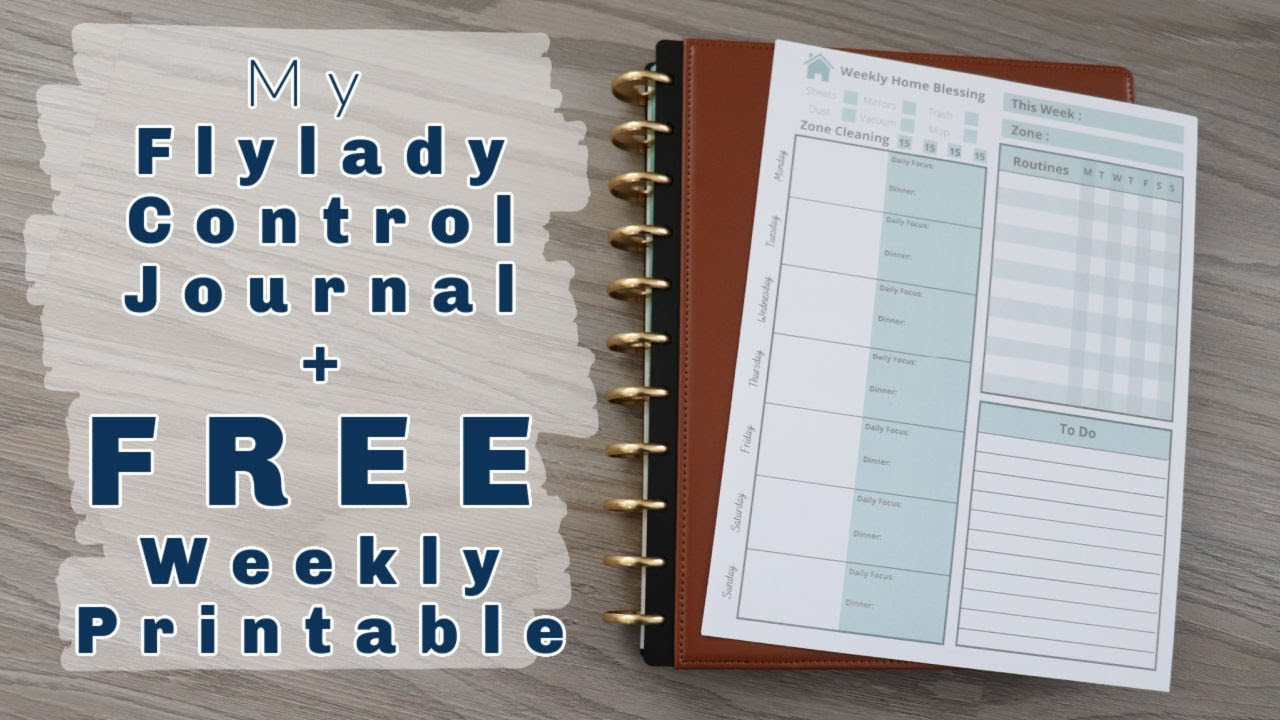 My Flylady Control Journal | Home Binder | Free Printable throughout Free Fly Lady Printables