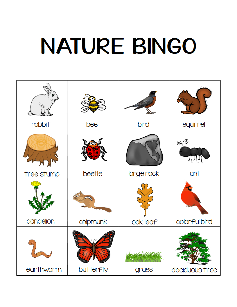 Nature Bingo Printable Activity - Take A Hike With Your Kids in Nature Walk Bingo Printable Free