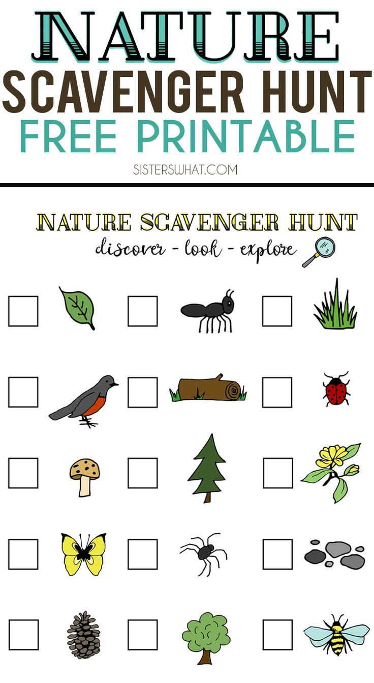 Nature Scavenger Hunt And Summer Adventures || Free Printable regarding Forest Scavenger Hunt Printable Free