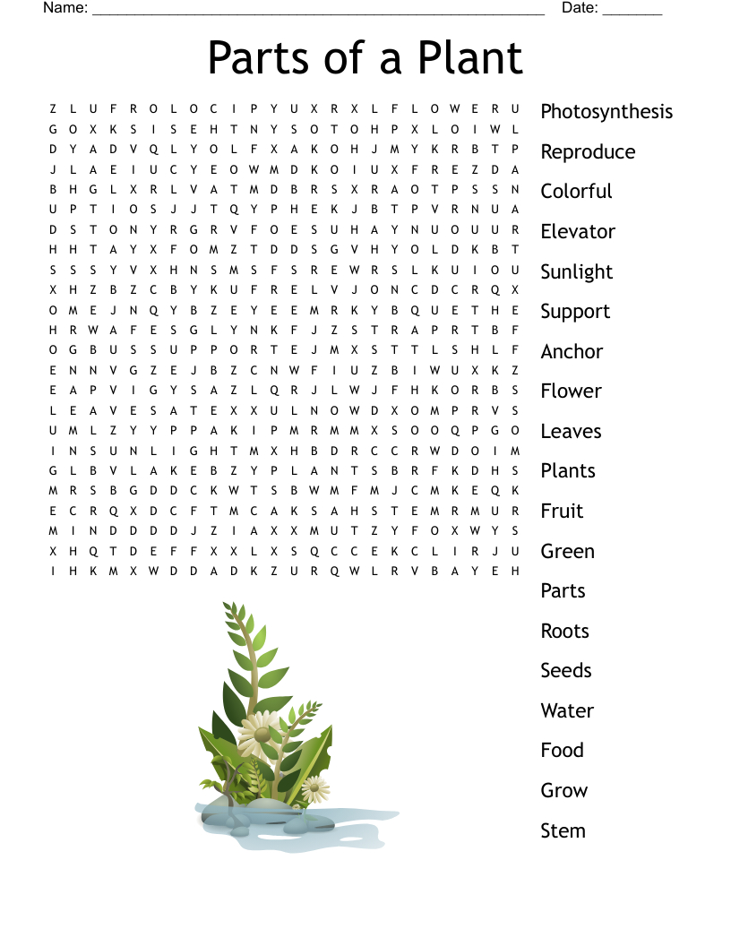 Parts Of A Plant Word Search - Wordmint inside Plant Word Search Printable