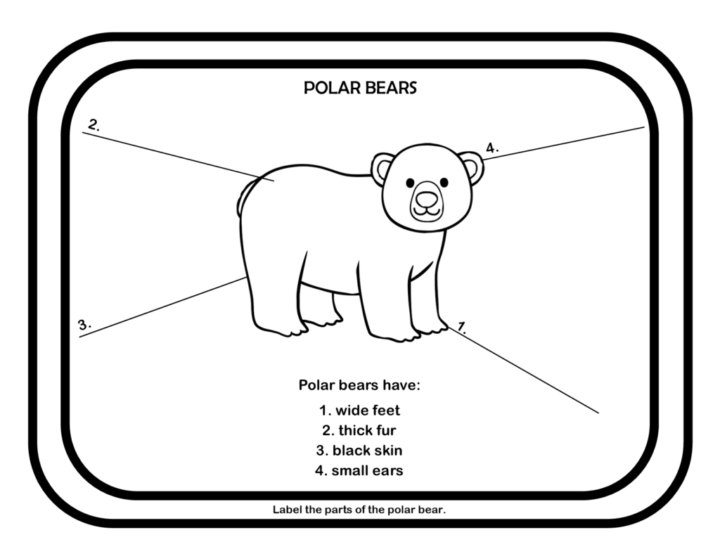 Polar Bears Unit Study - The Wolfe Pack throughout Printable Polar Bear Worksheets