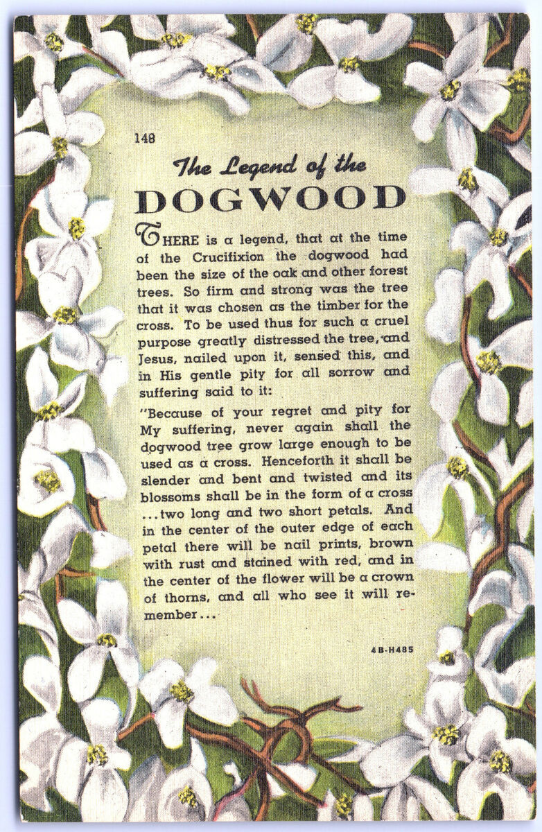 Postcard The Legend Of The Dogwood Story Poem C.1944 Linen G7 | Ebay for Free Printable Legend Of The Dogwood Tree