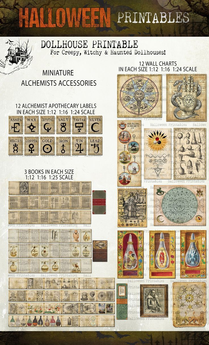 Printable Miniature Alchemist&amp;#039;S Accessories In 1-12, 1-16 And 1-24 8F3 regarding Free 1/24 Scale Printables
