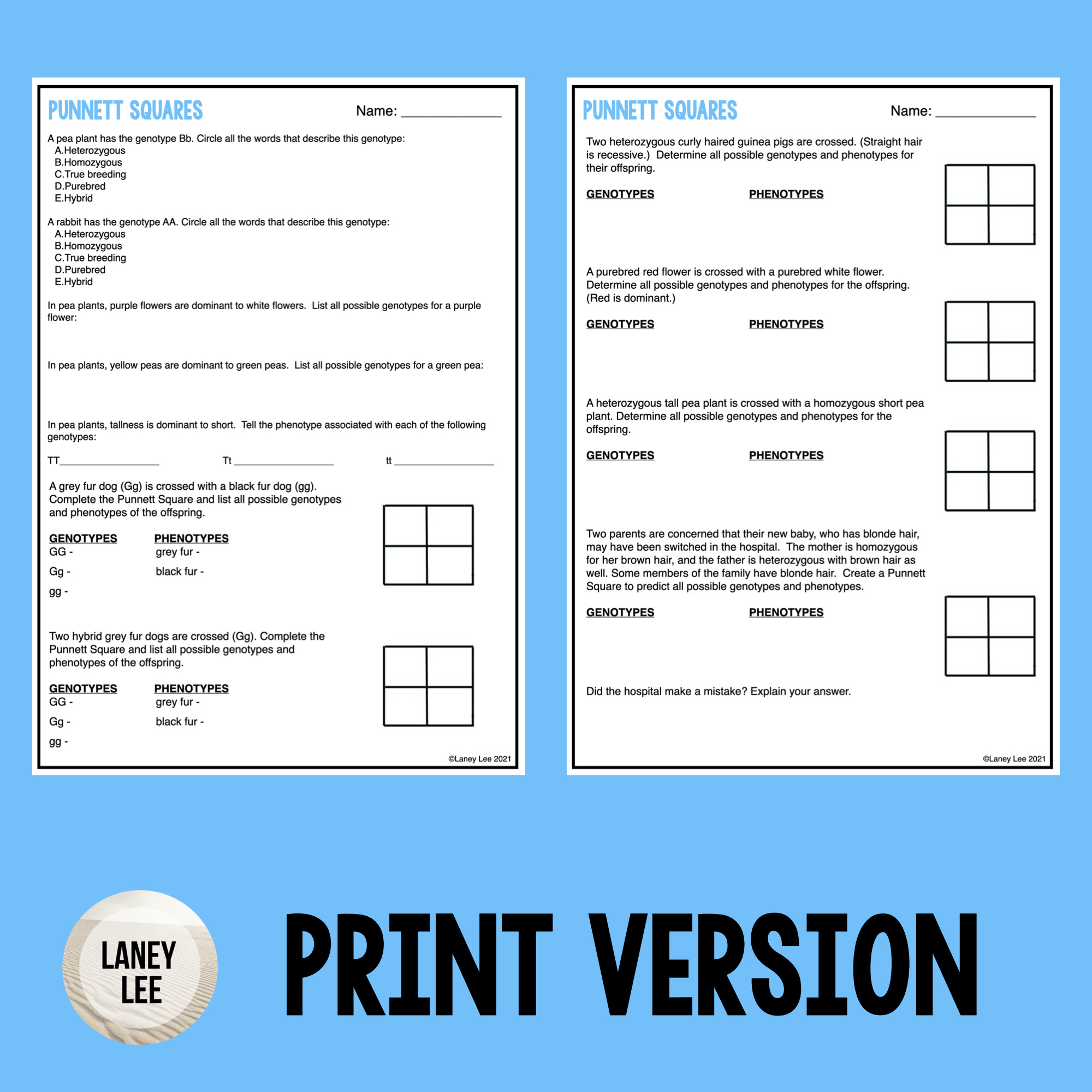 Punnett Square Practice Or Quiz Pdf With Answer Key - Laney Lee in Punnett Square Worksheet Free Printable