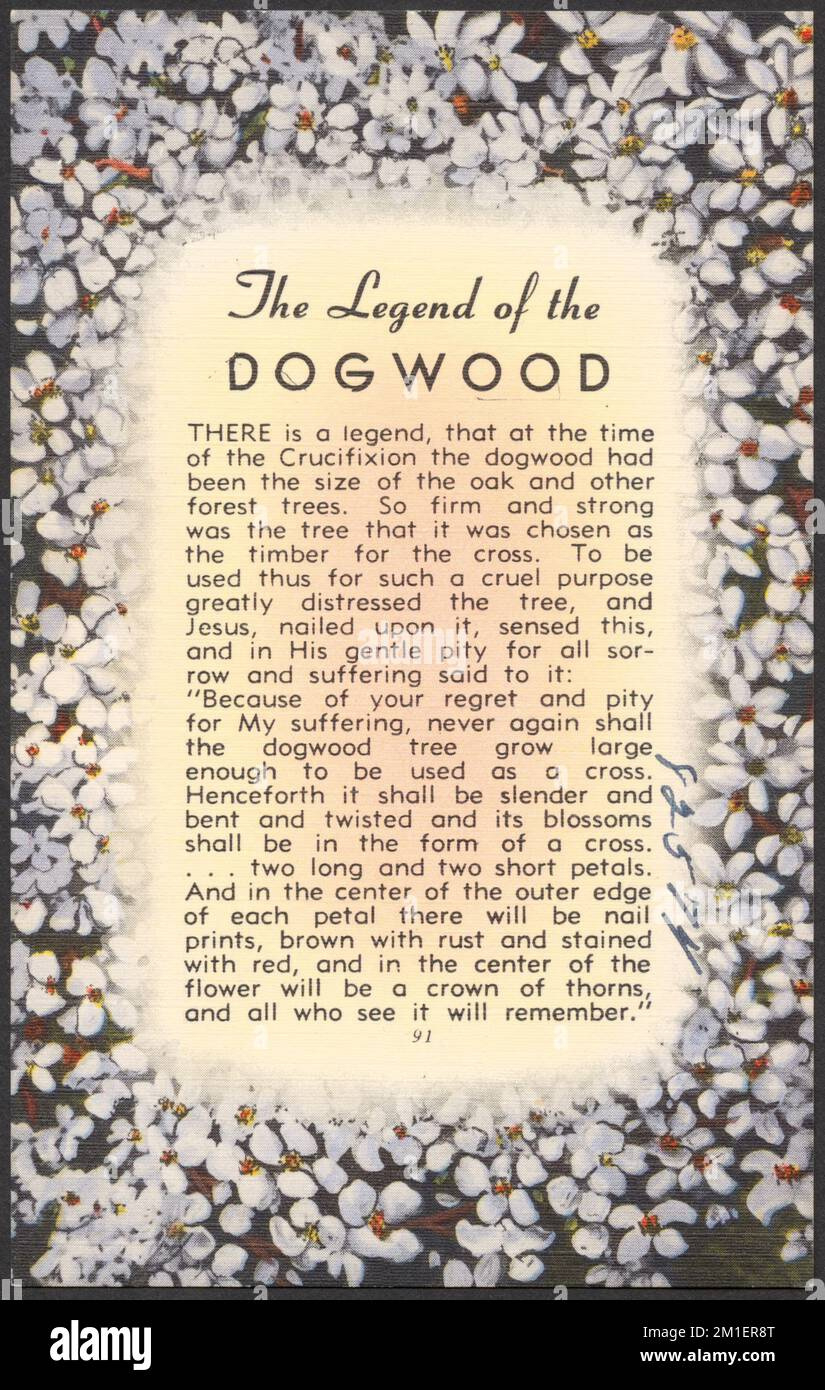 The Legend Of The Dogwood , Dogwoods, Jesus Christ, Tichnor for Free Printable Legend of the Dogwood Tree