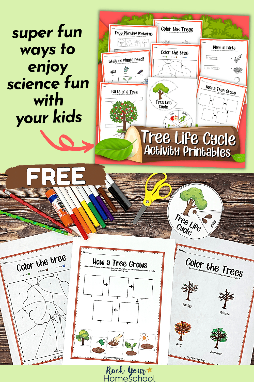 Tree Life Cycle Activities: 5 Ways To Learn (&amp;amp; Free Printables) within Printable Life Cycle of a Tree