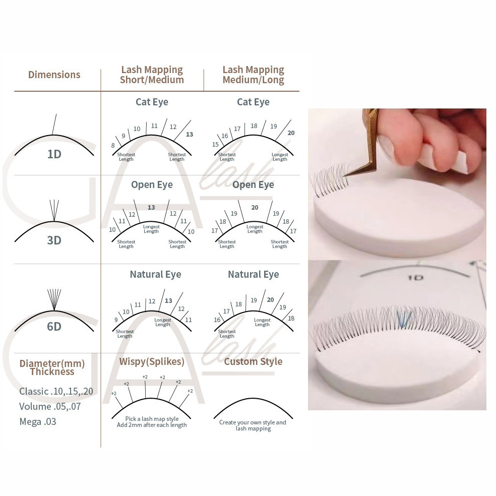 Wholesale Lash Mapping Dimension Chart Lash Sponges - 5Pcs Lash Training Charts within Printable Lash Mapping Template