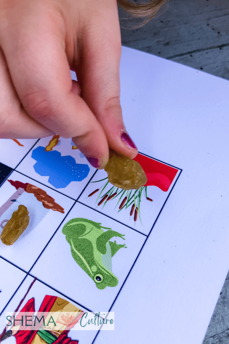 10 Plagues Of Egypt Activity Bingo Game: Free Printable Passover Fun with regard to 10 Plagues of Egypt Free Printables