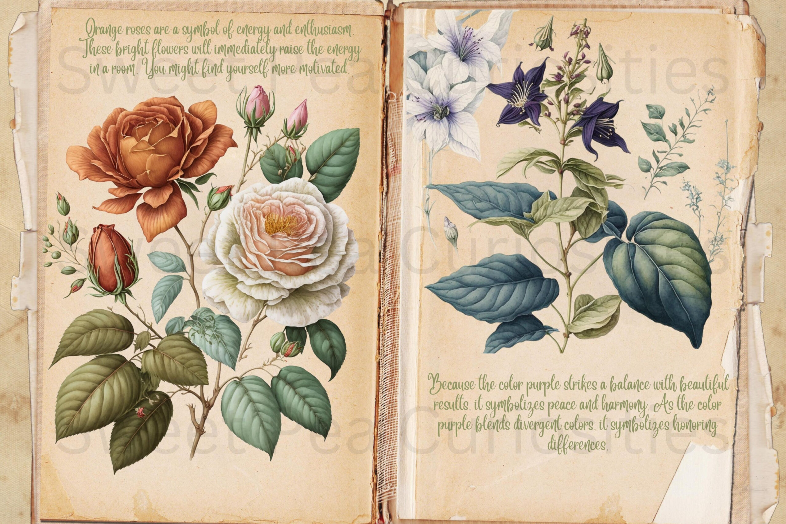 Beautiful Flower Book Pages And Papers, Junk Journal, Art throughout Edith Holden Free Printables