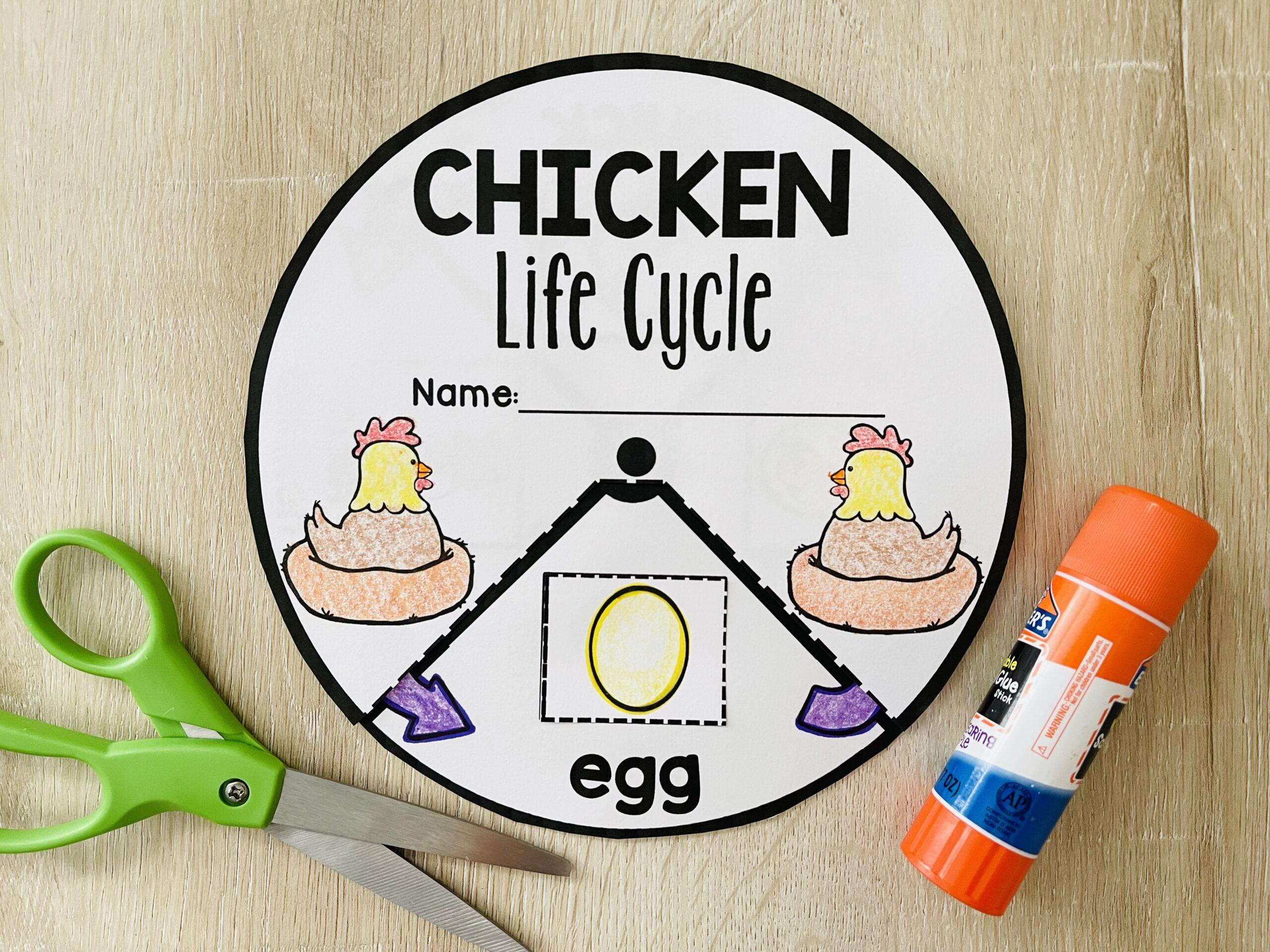 Chicken Life Cycle Craft {Free Interactive Wheel} - Curriculum Castle throughout Life Cycle of a Chicken Printable