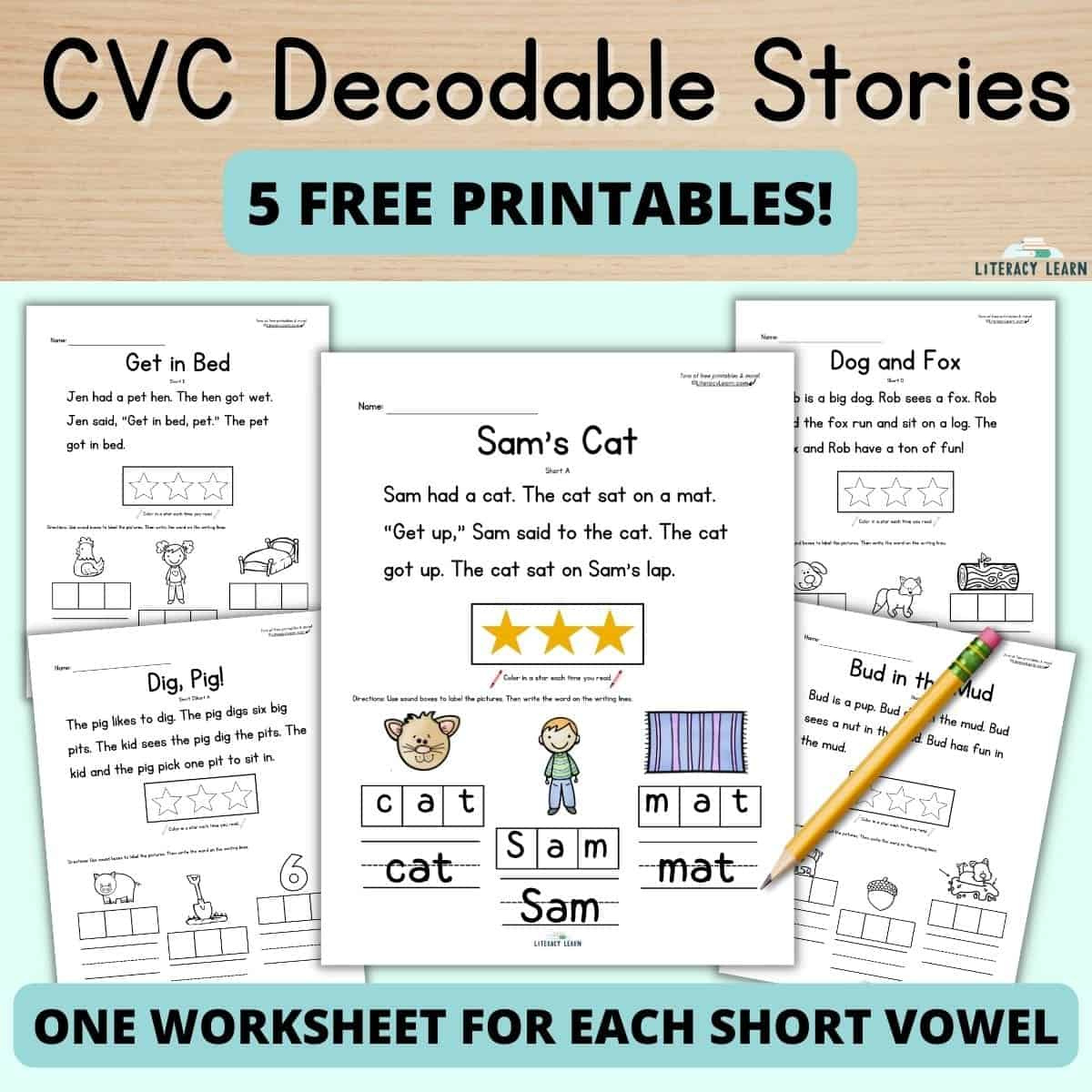 Free Cvc Word Decodable Stories For Reading &amp;amp; Spelling - Literacy with regard to Printable Decodable Books Free