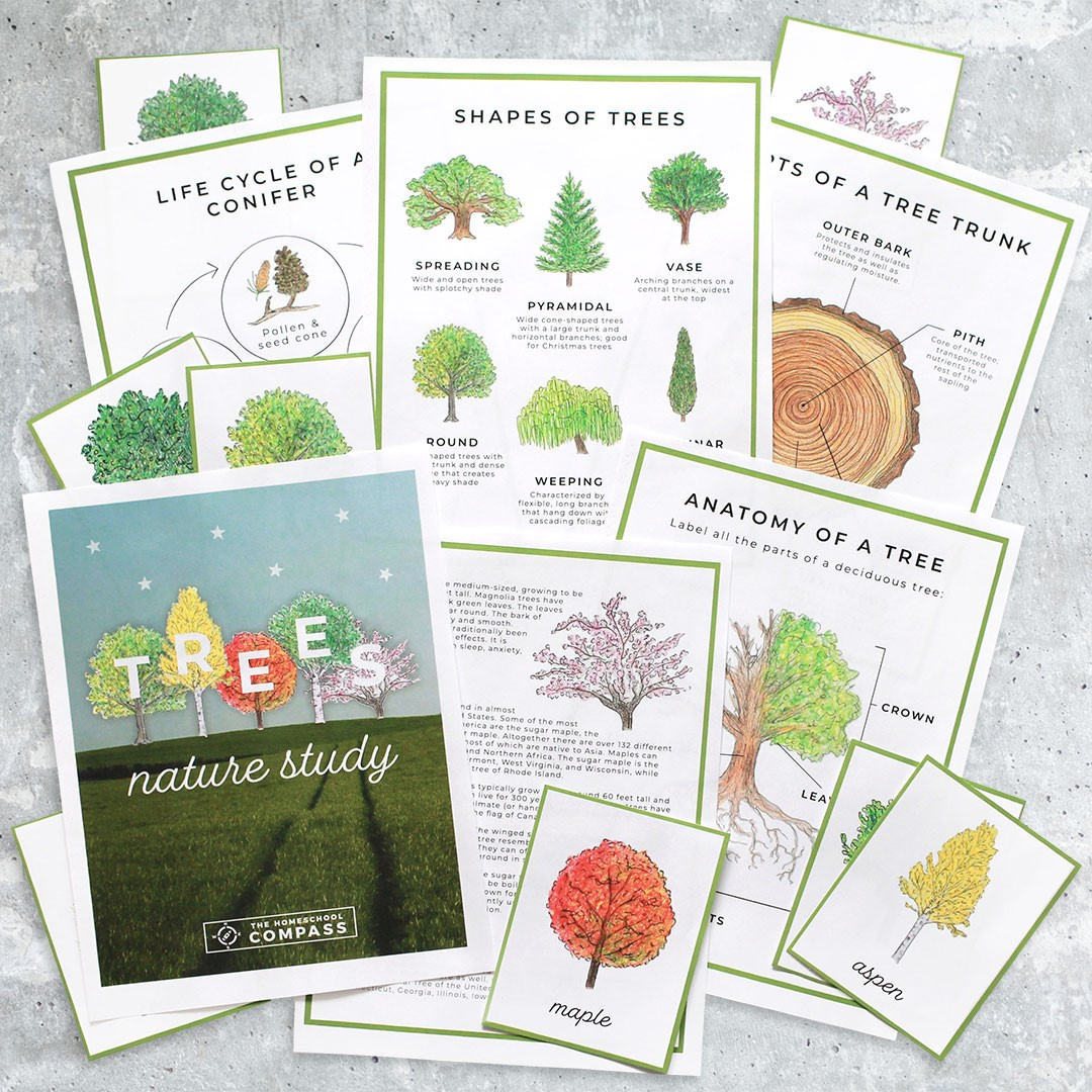 Free Tree Nature Study Printables - Homeschool Compass intended for Homeschool Compass Free Printables