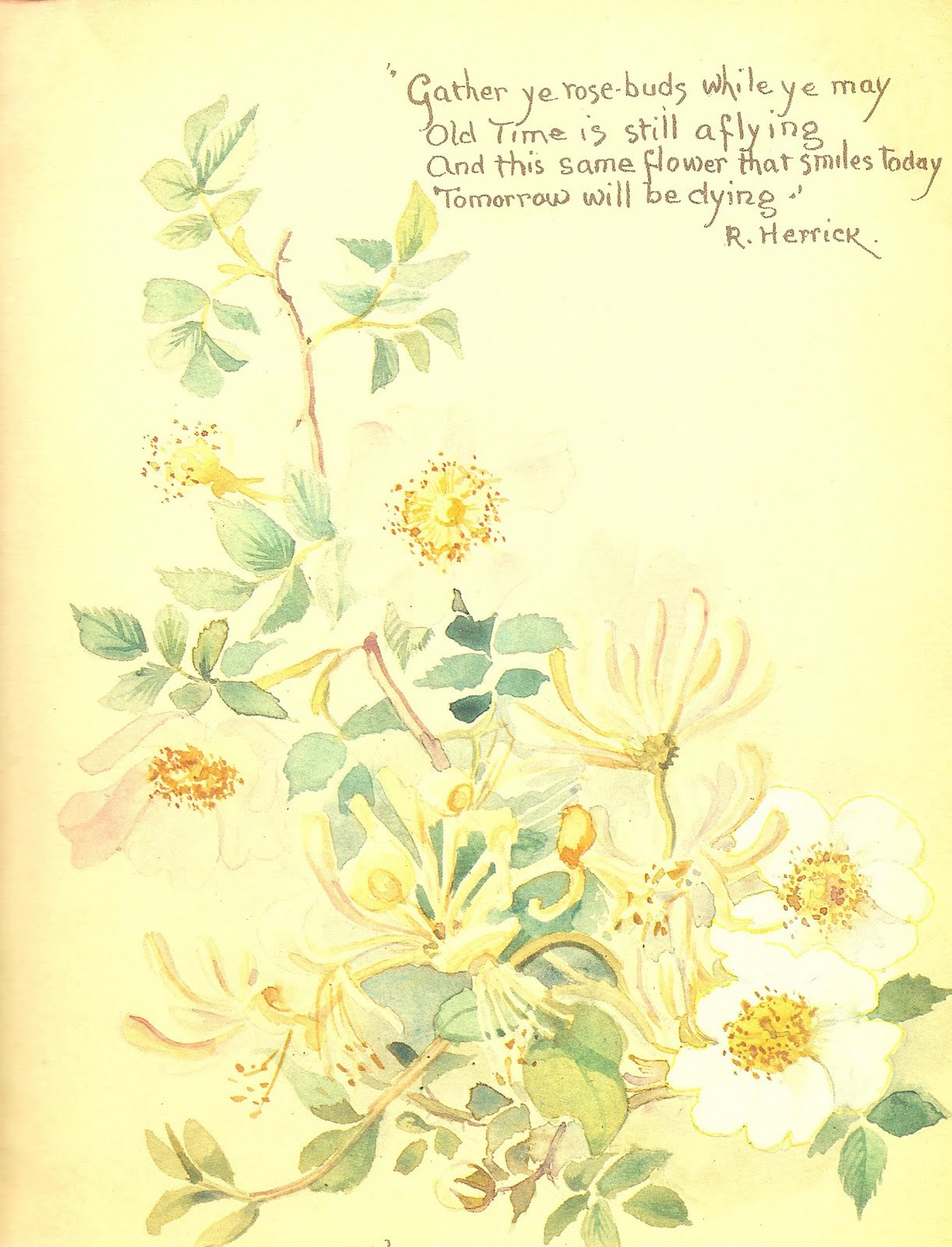 Heroines Of The Faith: Nature Journal Of Edith Holden within Edith Holden Free Printables