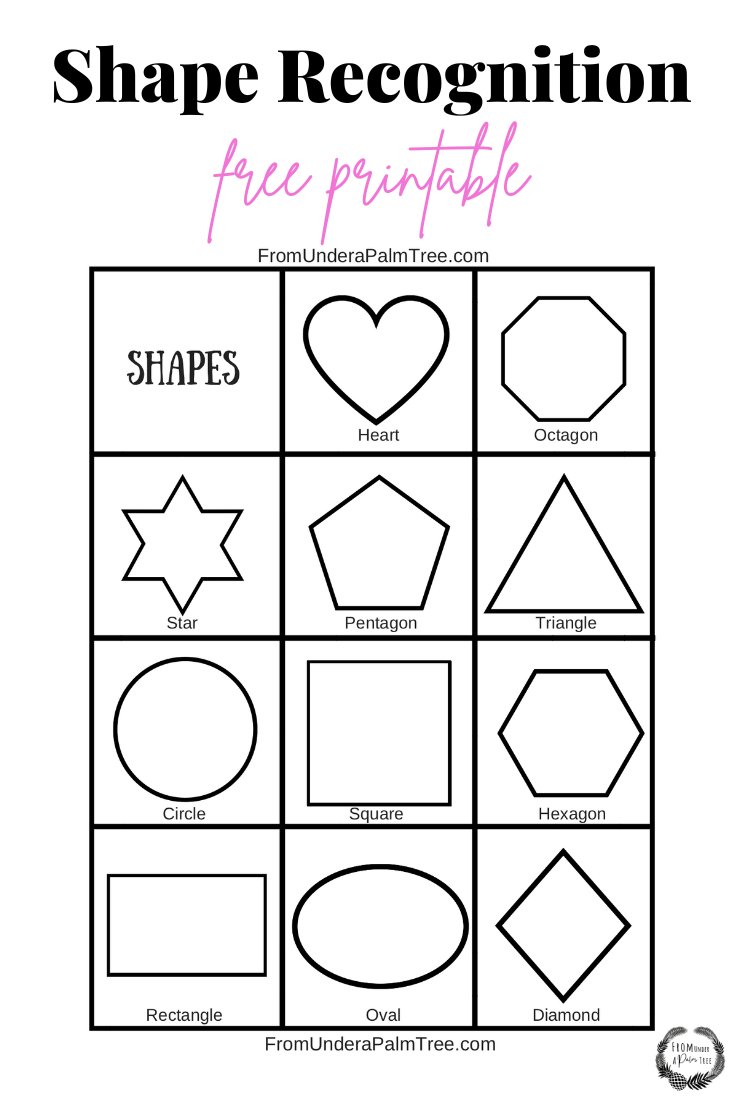 Shape Recognition Activity &amp;gt; From Under A Palm Tree intended for Free Printable Assessment For Shapes