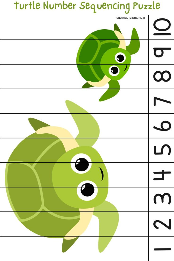 Tremendous Turtle Number Sequencing Puzzle (Math Printable For with Printable Number Sequence Puzzle