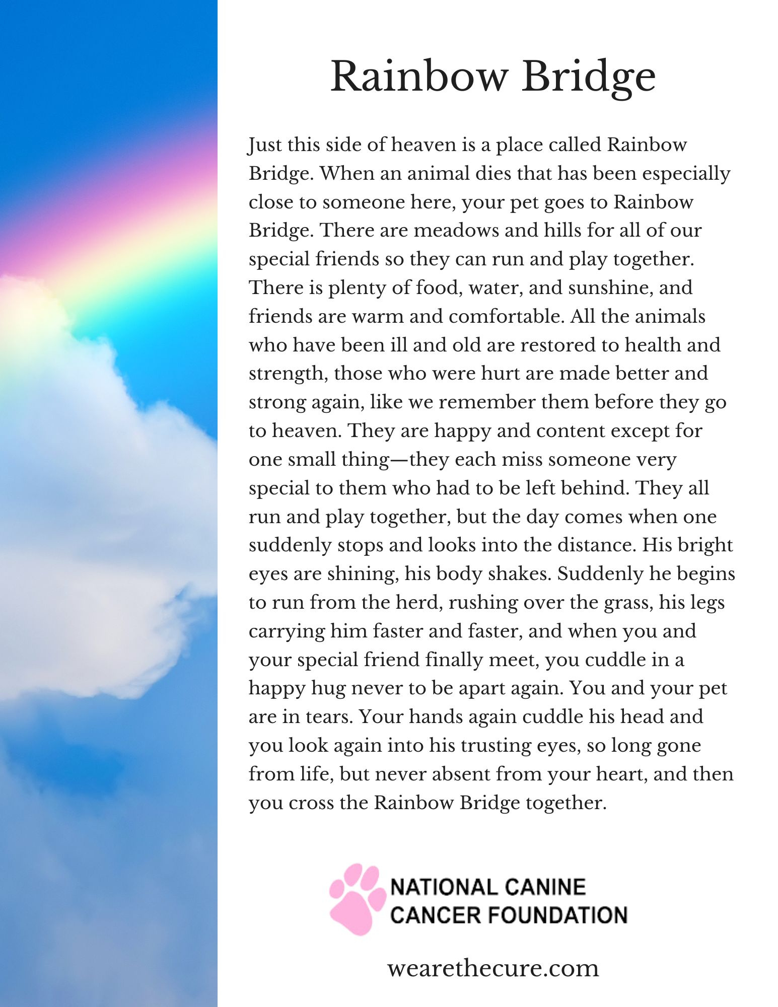 What The Rainbow Bridge Poem Gets Perfectly Right About Pet Loss intended for Rainbow Bridge Printable Poem
