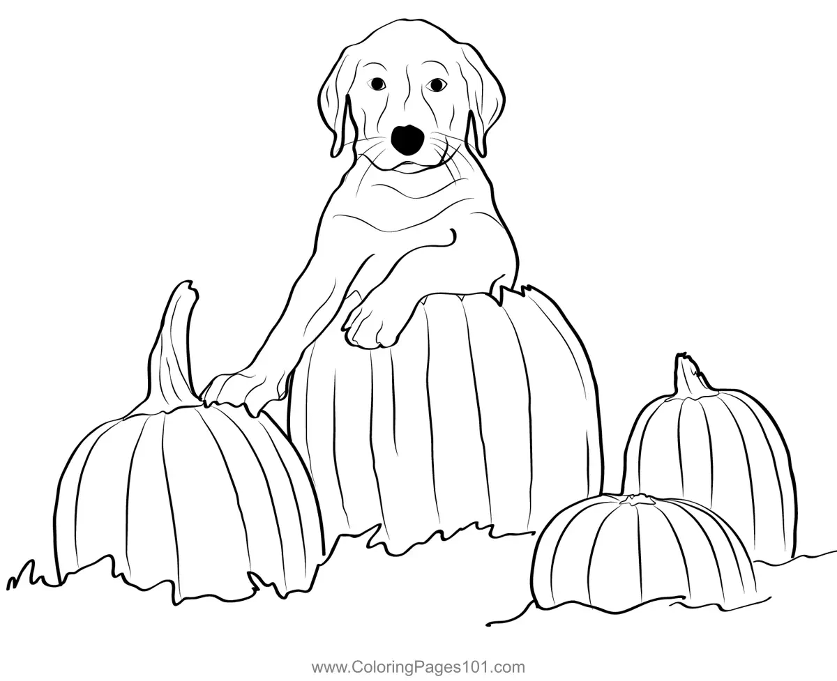 Dog With Pumpkin Puppy Coloring Page For Kids - Free Halloween for Free Printable Halloween Dog Coloring Sheets