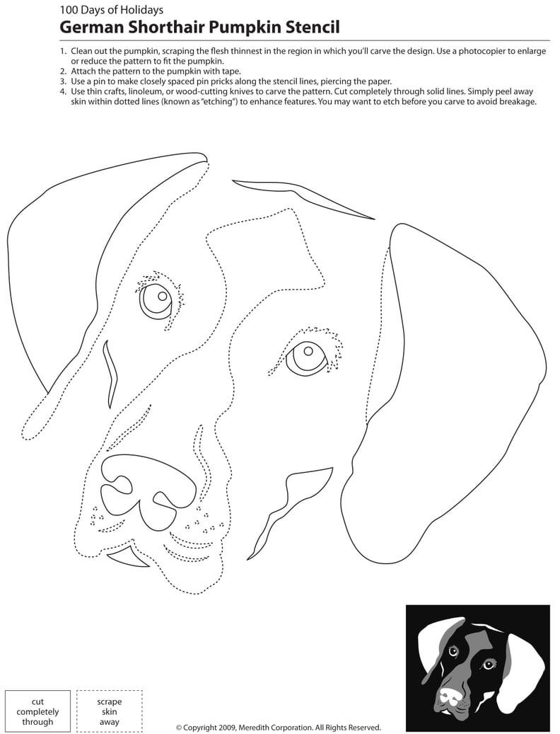 Downloadable Dog Breed Pumpkin Stencils | Ps Pets for Printable Dog Stencils For Pumpkins