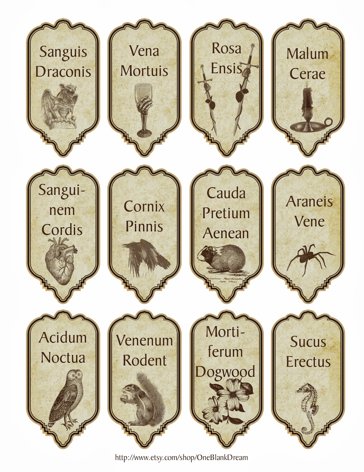 Free 15 Latin Halloween Magic Apothecary Bottle Jar Labels Instant in Free Printable Halloween Apothecary Labels