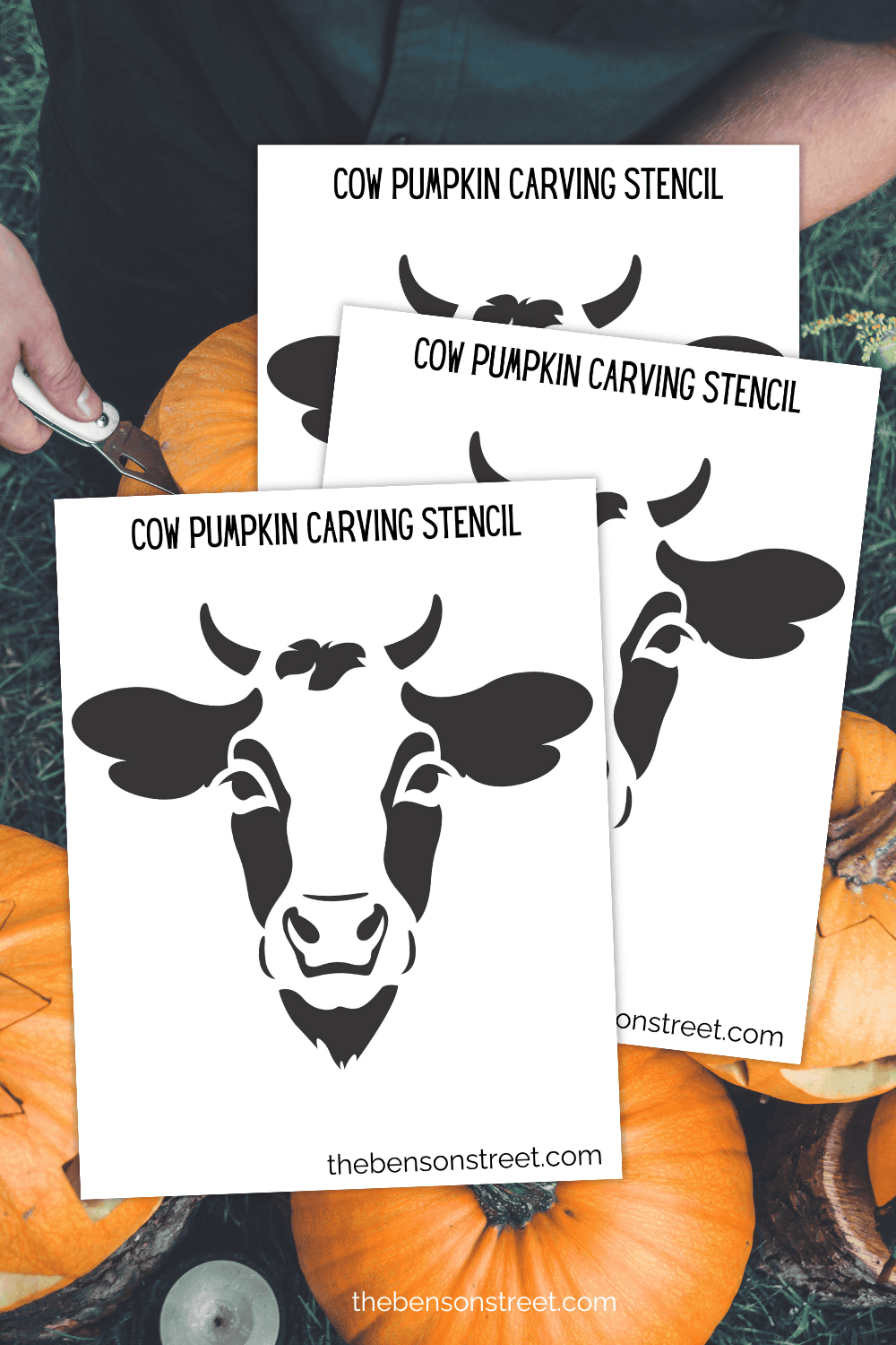 Free Printable Cow Pumpkin Stencil Template For Easy Carving inside Printable Cow Pumpkin Stencil