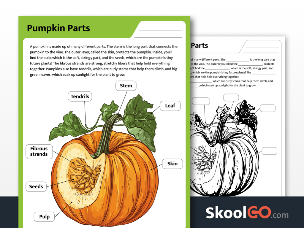 Free Printable Pumpkin Parts Worksheet - Skoolgo pertaining to Parts Of A Pumpkin Free Printable