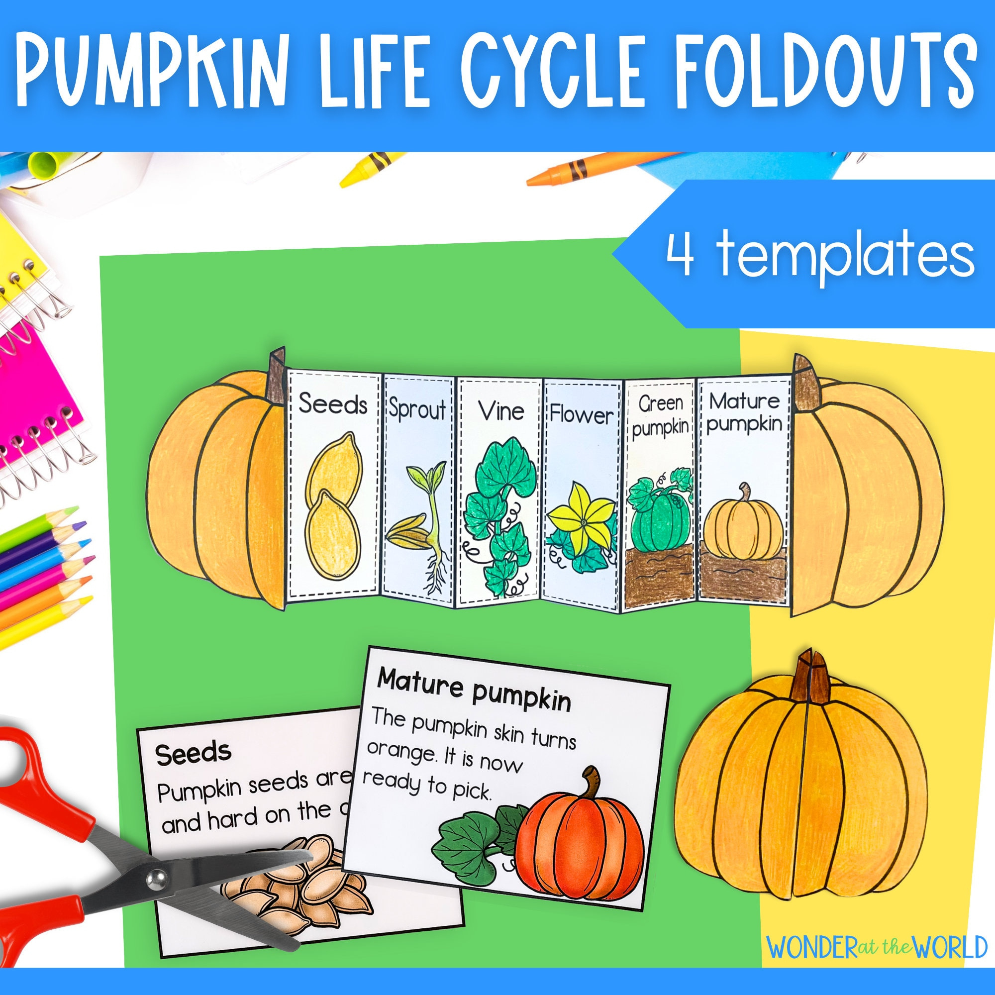 Life Cycle Of A Pumpkin Foldable Activity For Kids | A4 And 11X8.5 with regard to Pumpkin Life Cycle Printables