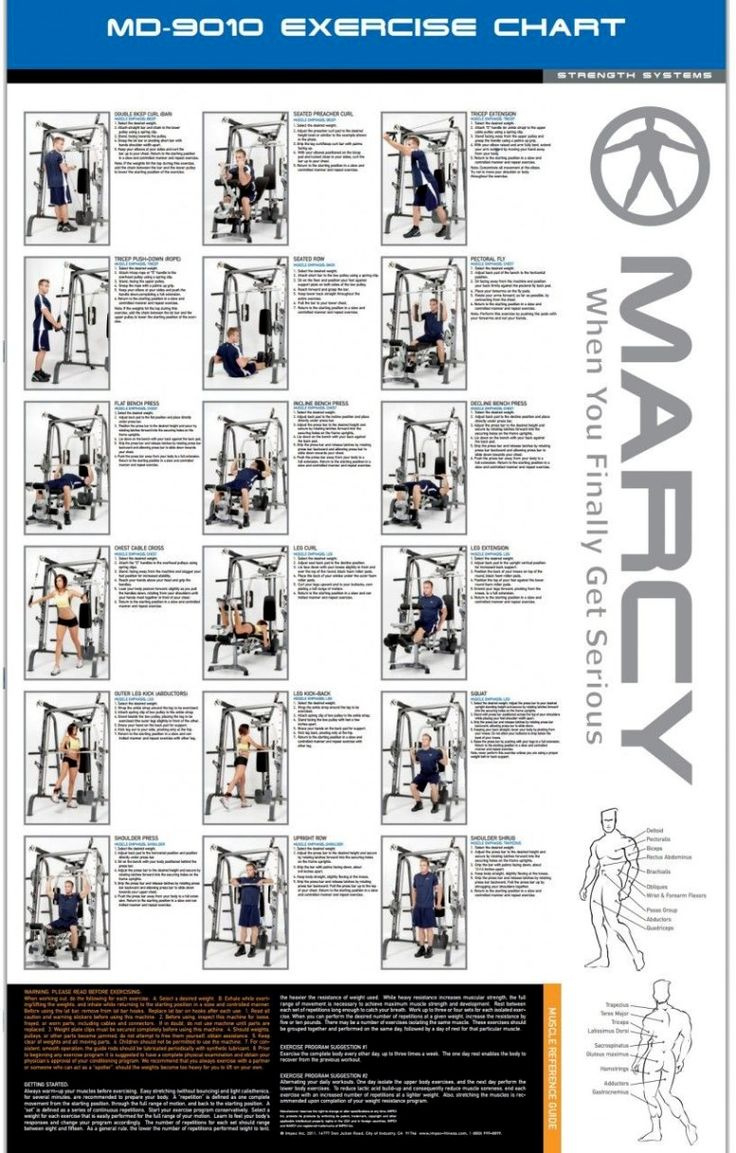 Pincassidy Daniels On Great Workouts!! | Marcy Home Gym, Smith with regard to Printable Smith Machine Exercise Chart