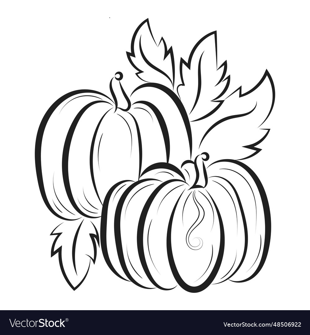 Printable Pumpkin Coloring Pages For Kids Vector Image inside Printable Pictures Of Pumpkins