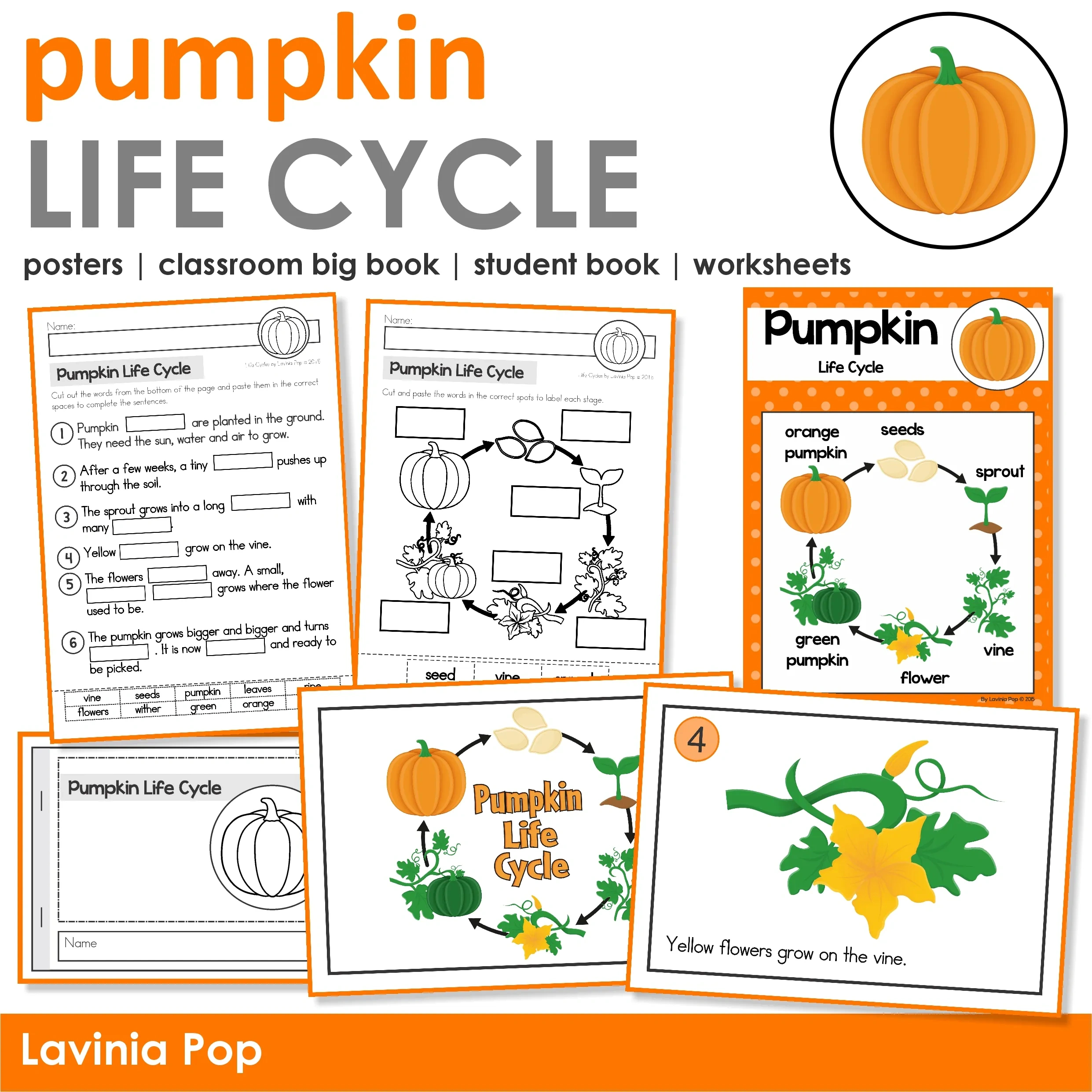 Pumpkin Life Cycle Activities For Kindergarten &amp;amp; 1St Grade - In My throughout Free Printable Pumpkin Life Cycle
