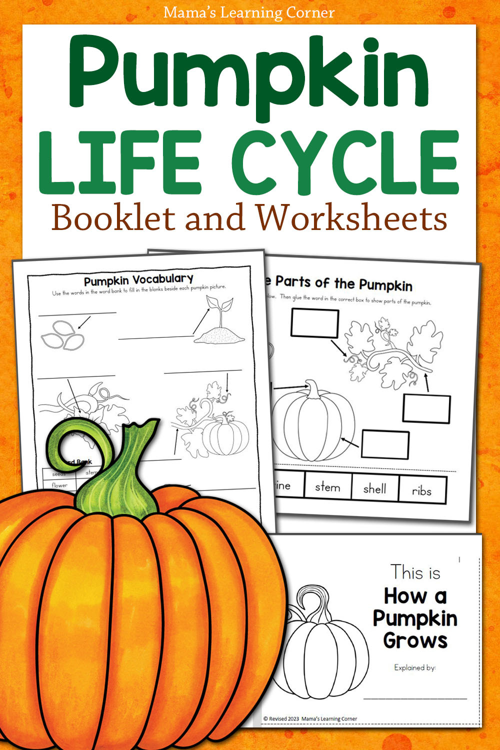 Pumpkin Life Cycle Worksheets - Mamas Learning Corner for Free Printable Pumpkin Life Cycle Worksheet