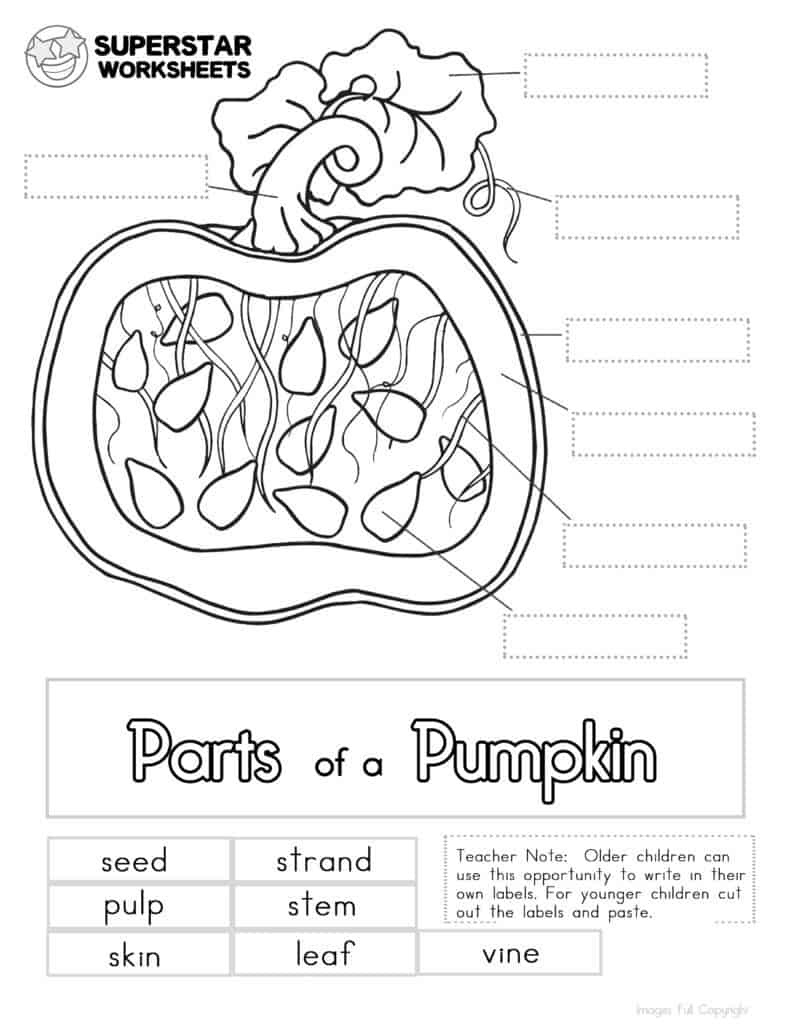 Pumpkin Worksheet - Superstar Worksheets regarding Parts Of A Pumpkin Printable