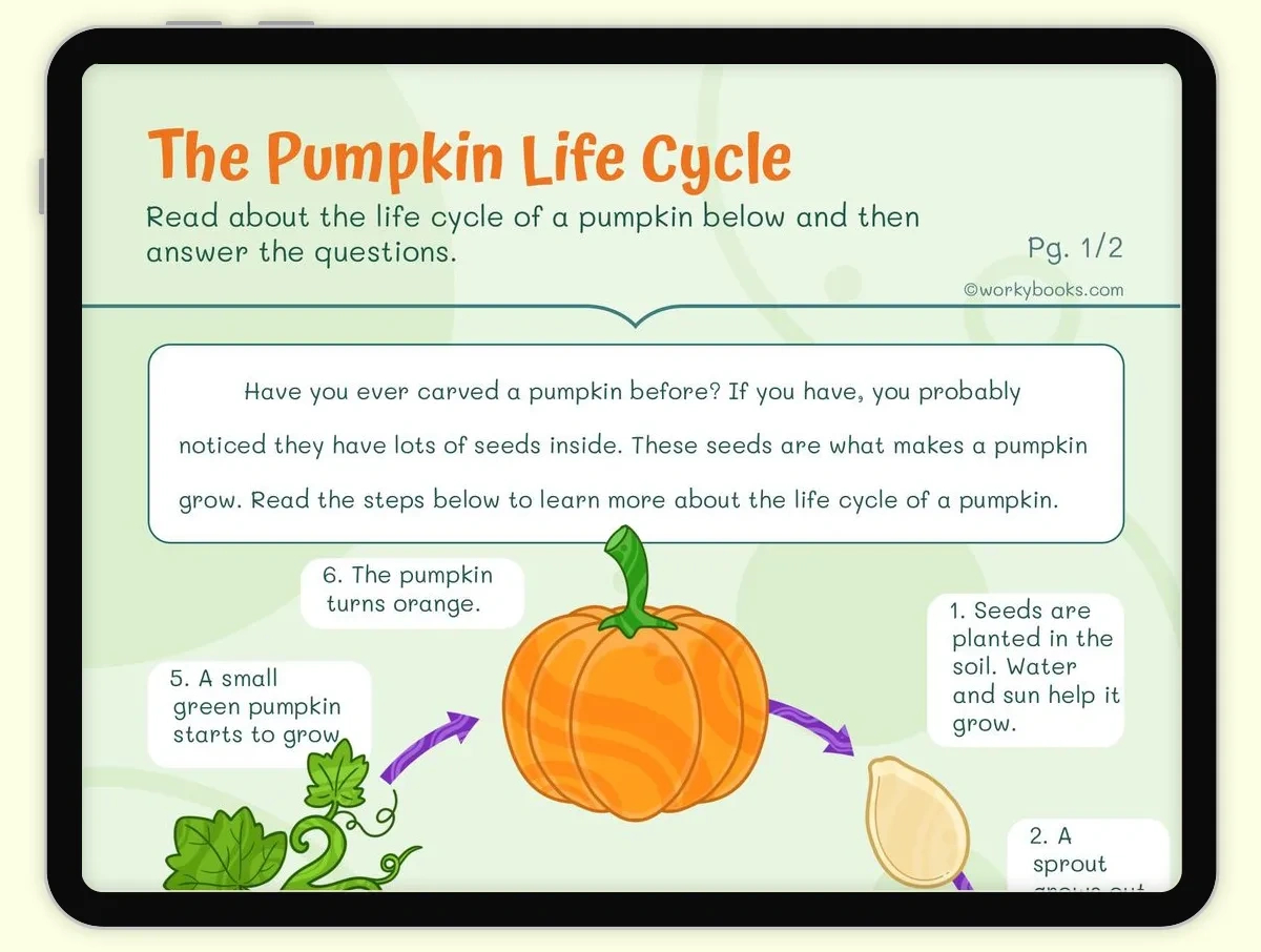 The Pumpkin Life Cycle Worksheet | Ri.2.3,Ri.2.10 | Workybooks in Pumpkin Life Cycle Printable