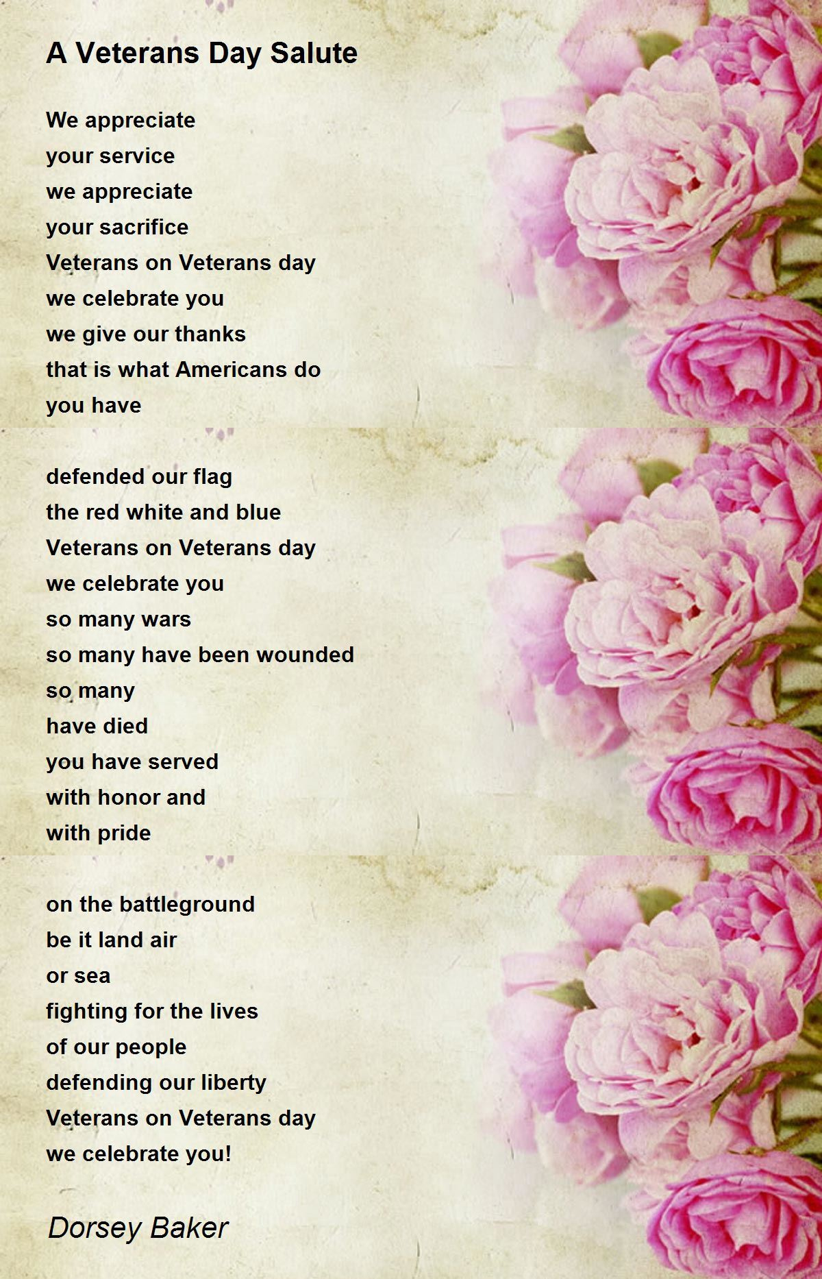 A Veterans Day Salute - A Veterans Day Salute Poemdorsey Baker intended for Veterans Day Salute Poem
