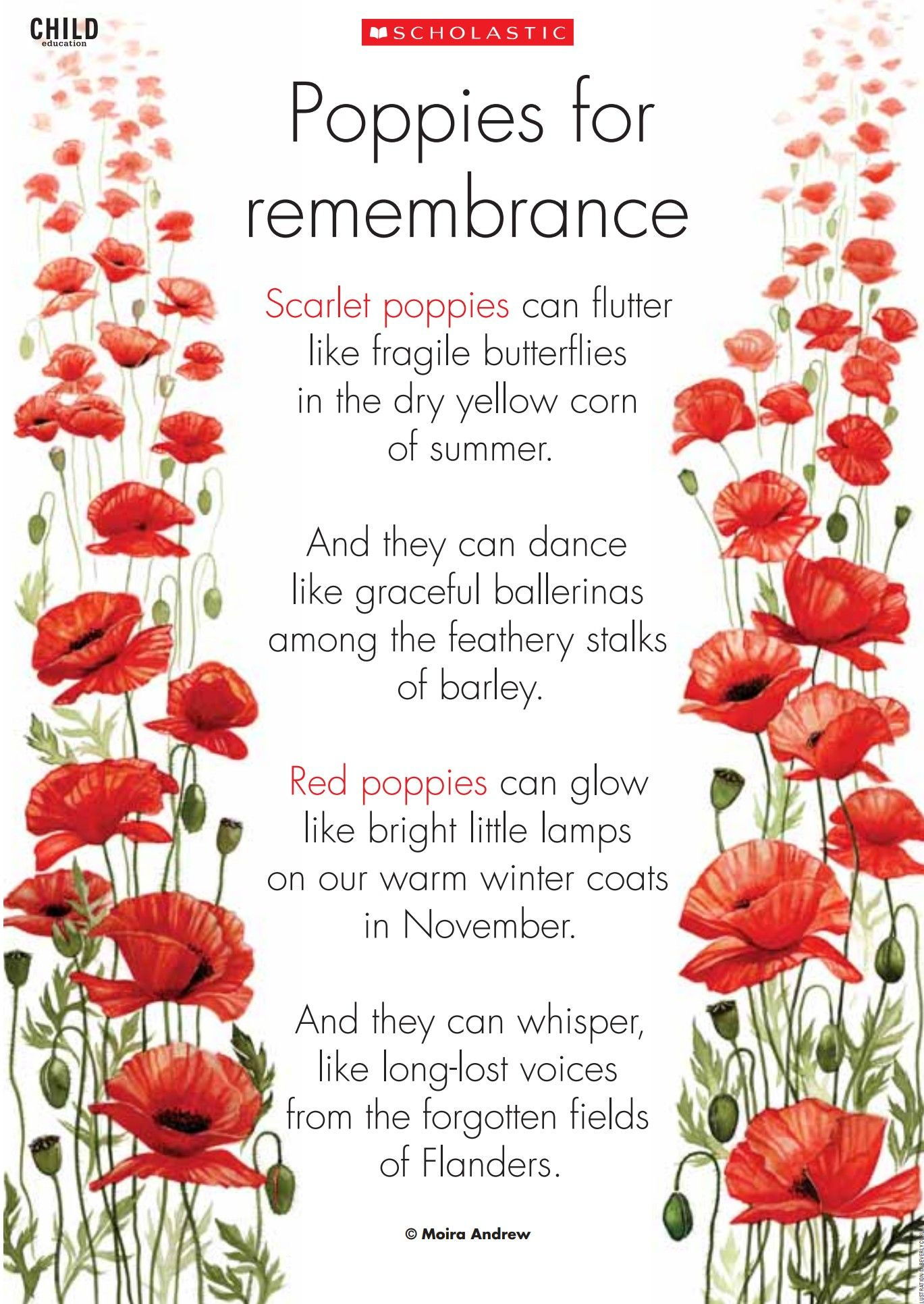Discover 7 Veterans Day Poppy And Remembrance Day Art Ideas with regard to Veterans Day Poppy Poem