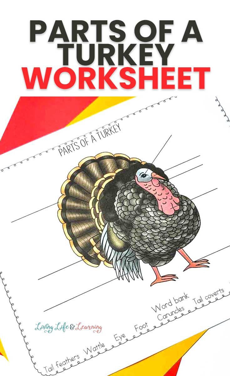 Free Parts Of A Turkey Printables | Free Homeschool Deals © inside Printable Parts Of A Turkey