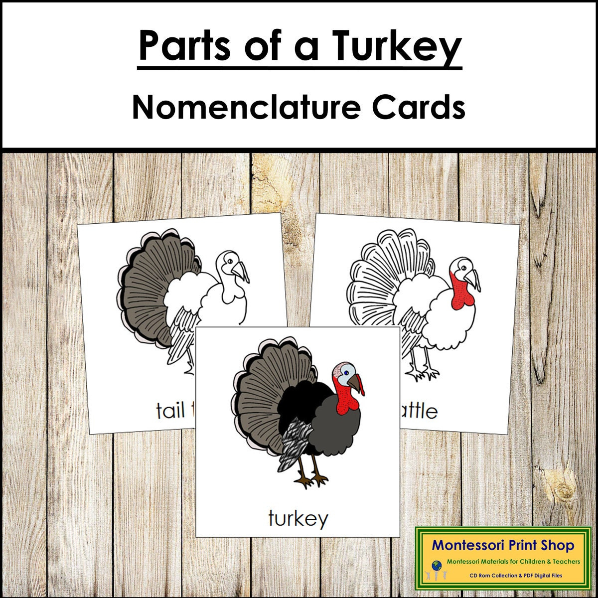 Parts Of A Turkey Nomenclature 3-Part Cards &amp;amp; Blackline Master with regard to Printable Parts Of A Turkey