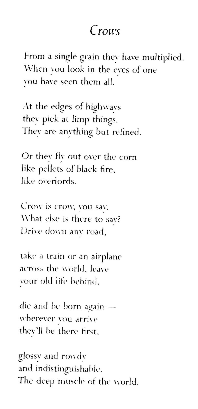 Poem Bouquet: Mary Oliver inside Mary Oliver Thanksgiving Poem