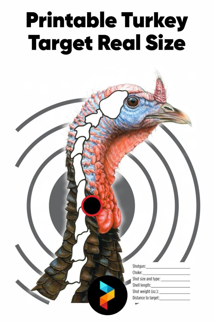 Printable Turkey Targets For Perfect Archery And Shotgun Practice with regard to Free Printable Turkey Targets