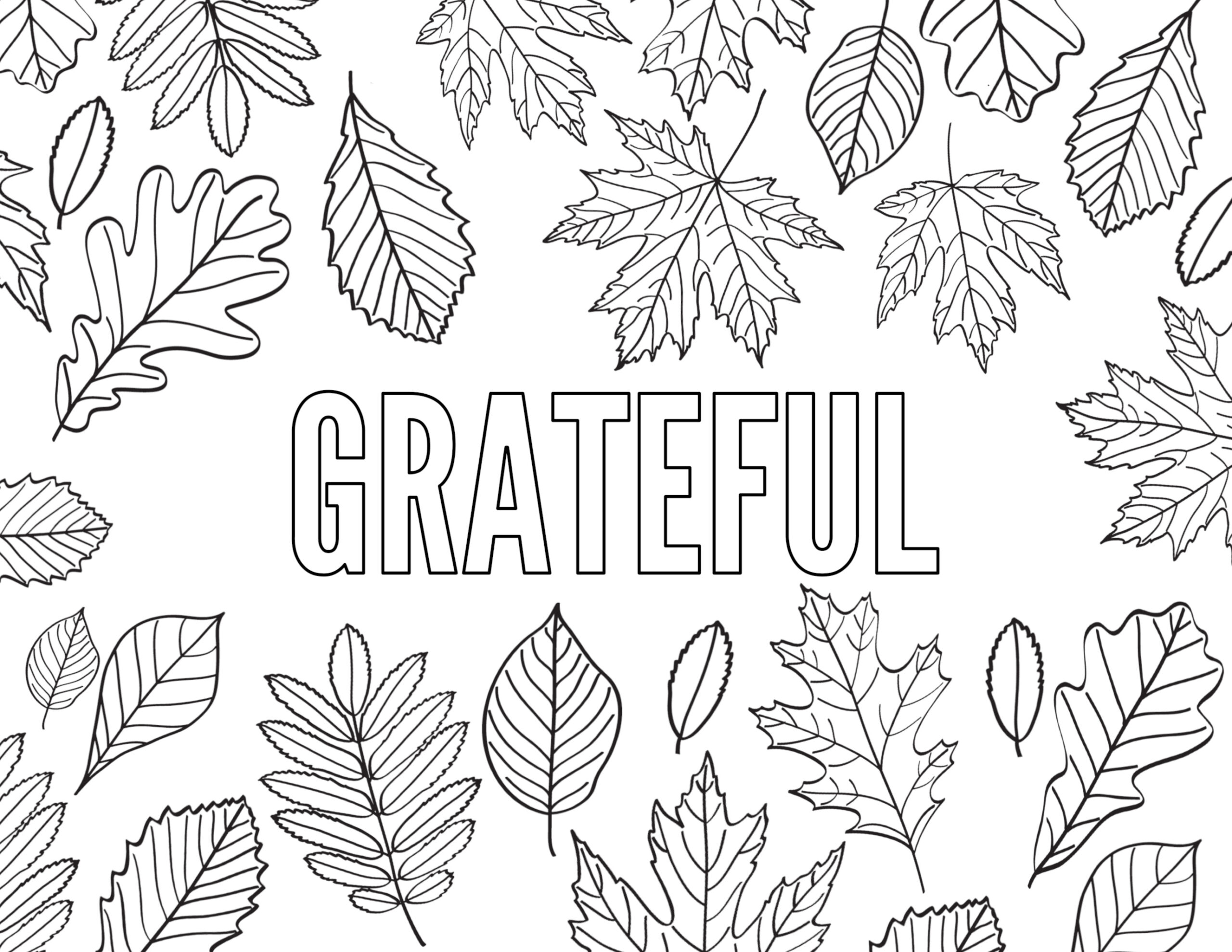 Thanksgiving Coloring Pages {Free Printable} - Paper Trail Design for Free Printable I am Thankful For Leaves Coloring Pages