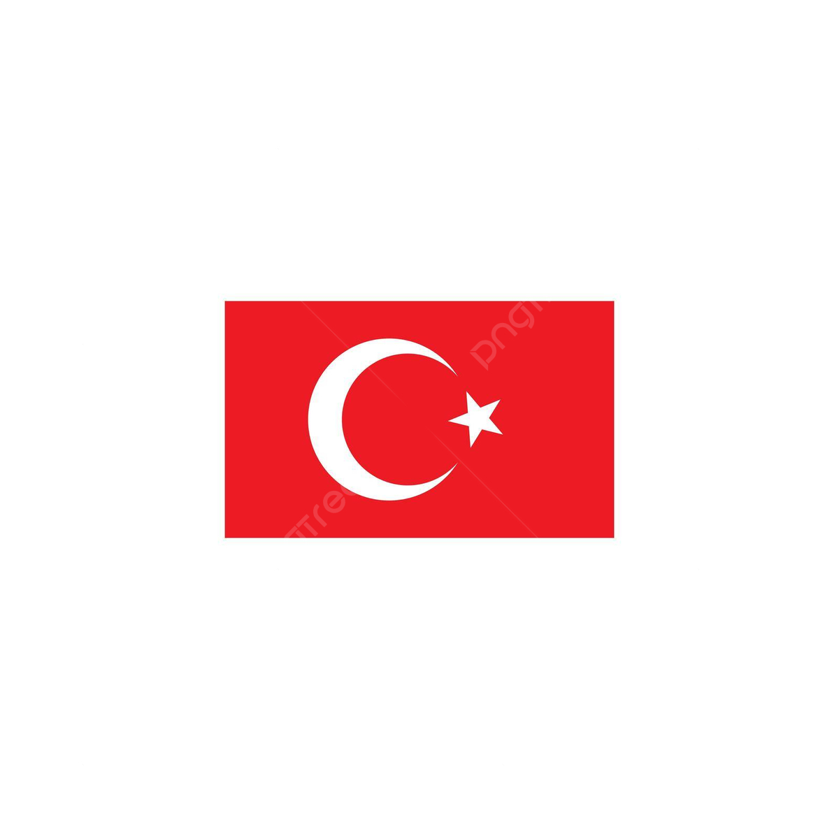 Turkey Flag Icon Turkish White Turkey Flag Icon Vector Template in Flag Of Turkey Printable