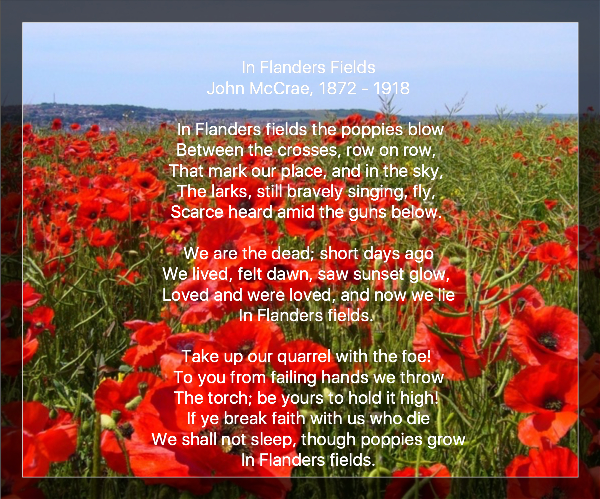 Veterans Day 2017 | Newenglandgardenandthread inside Poppy Poem Veterans Day