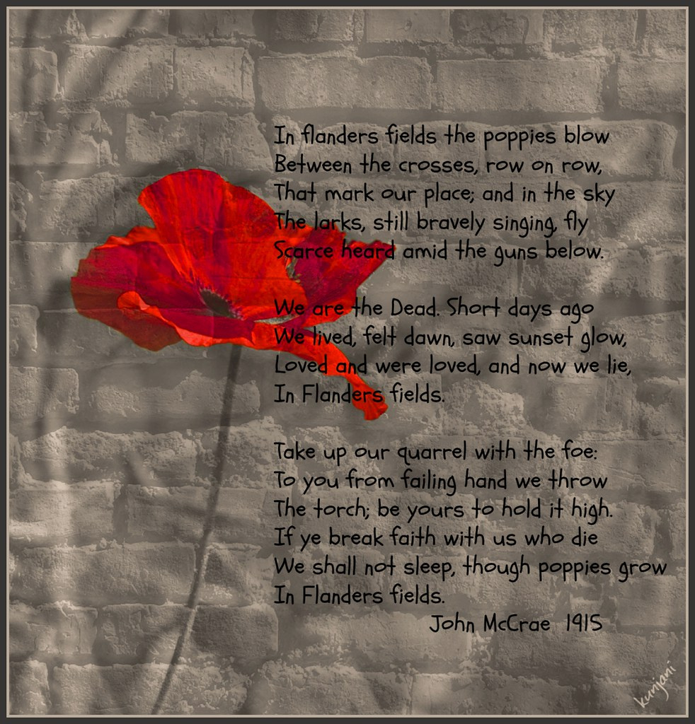 Veterans Day: Poem: &amp;quot;In Flanders Fields&amp;quot; | November 11 Is Ve… | Flickr with Veterans Day Flanders Field Poem