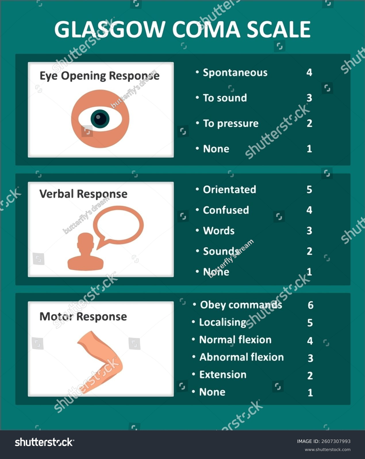 34 Glasgow Coma Scale Royalty-Free Images, Stock Photos & Pictures intended for Glasgow Coma Scale Chart Printable