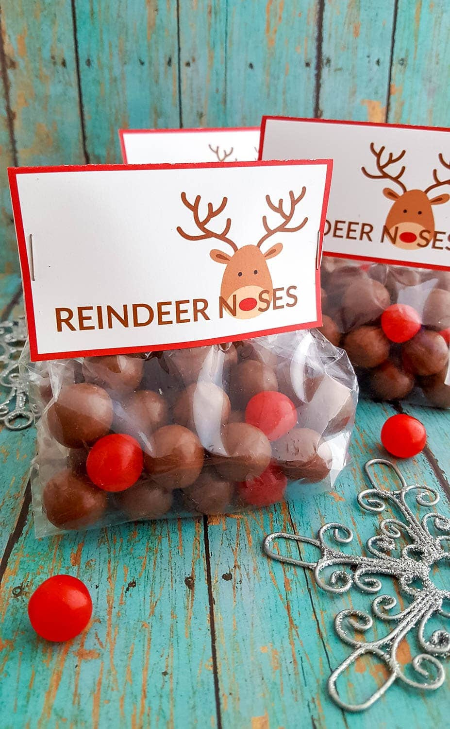 Diy Reindeer Noses Treat Bags With Free Printable Labels throughout Reindeer Nose Printable